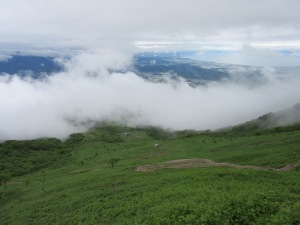 伊吹山　八合目～七合目