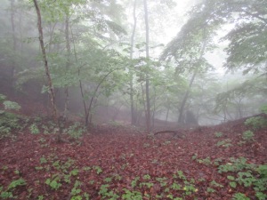 丸岩　尾根鞍部
