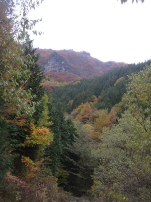 掃部ケ岳登山　杖の木林道を下る